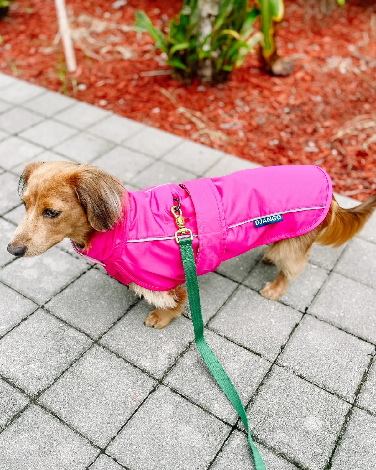 City Slicker All-Weather Dog Jacket & Raincoat - Cerise Pink