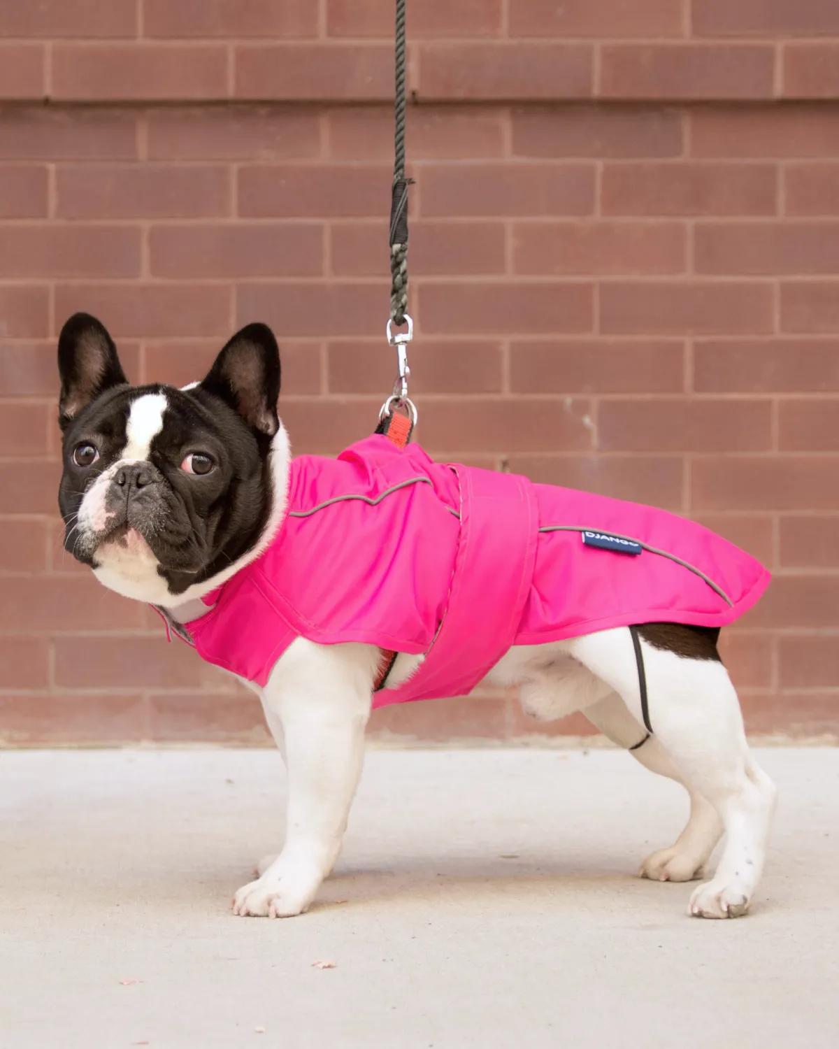 City Slicker All-Weather Dog Jacket & Raincoat - Cerise Pink