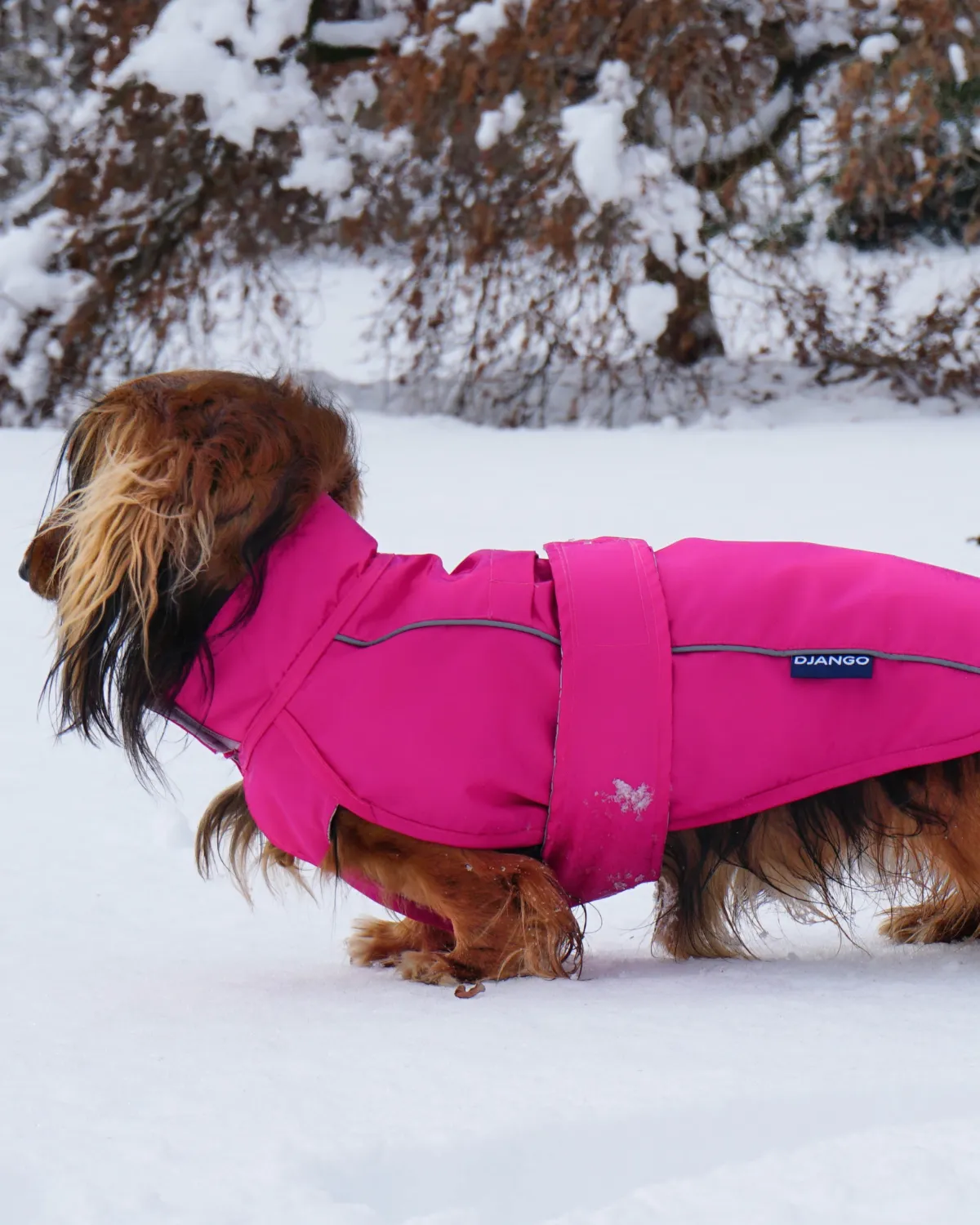 City Slicker All-Weather Dog Jacket & Raincoat - Cerise Pink