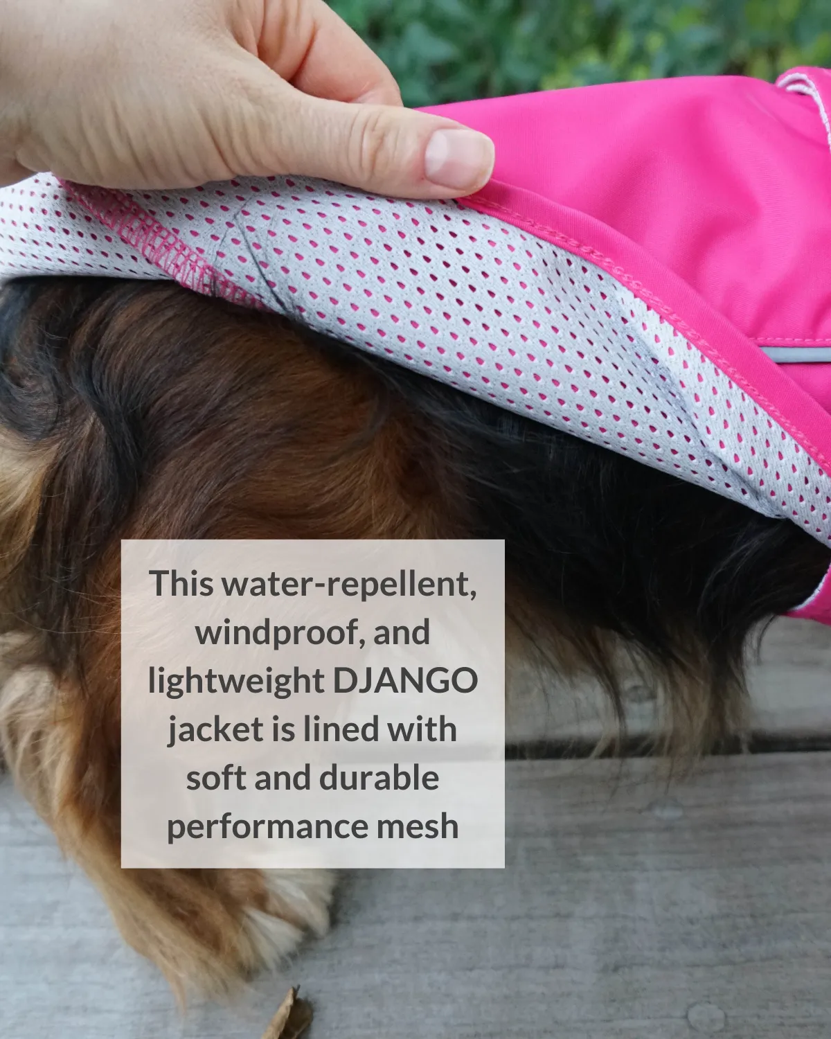 City Slicker All-Weather Dog Jacket & Raincoat - Cerise Pink