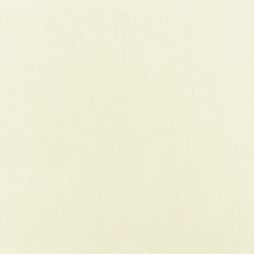 Light Ivory-Brown 10 oz. Cotton Japanese Selvedge Denim Fabric